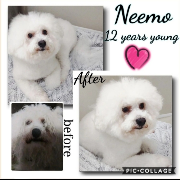 NWT VS wicked unlined balconette bow bra - Picture 8 of 8